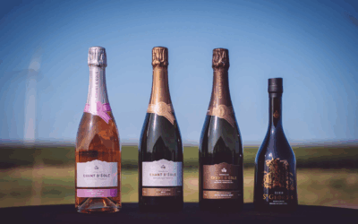 Pourquoi le vin belge a le vent en poupe ?
