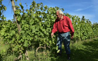 A la rencontre de nos producteurs